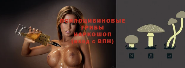 а пвп мука Абаза