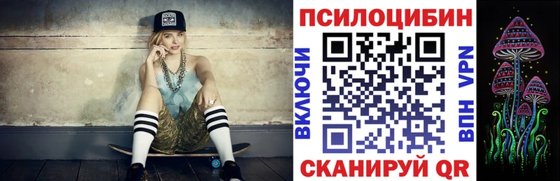 купить наркотик Тверь Псилоцибиновые грибы MAGIC MUSHROOMS